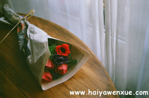 ѩĶ_www.haiyawenxue.com